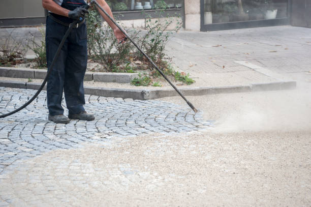 Best Animal Enclosure Cleaning  in Palatine, IL