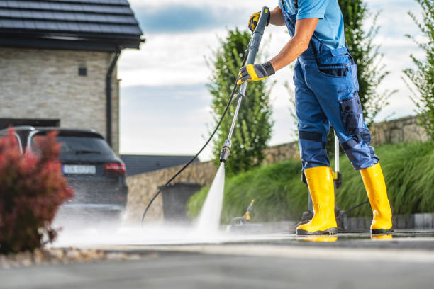 Best Sidewalk and Walkway Cleaning  in Palatine, IL